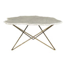 Moe's Home Collection Positano Coffee Table QJ-1015-18 IMAGE 1
