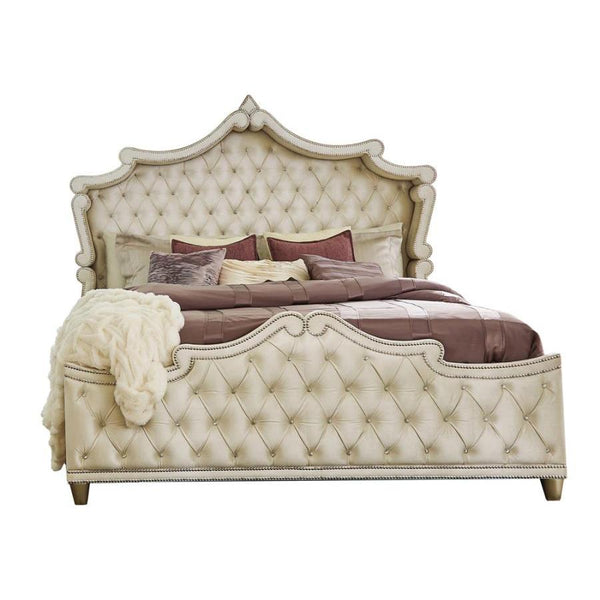  Coaster Furniture Antonella 223521Q Upholstered Queen Panel Bed - Ivory and Camel IMAGE 1