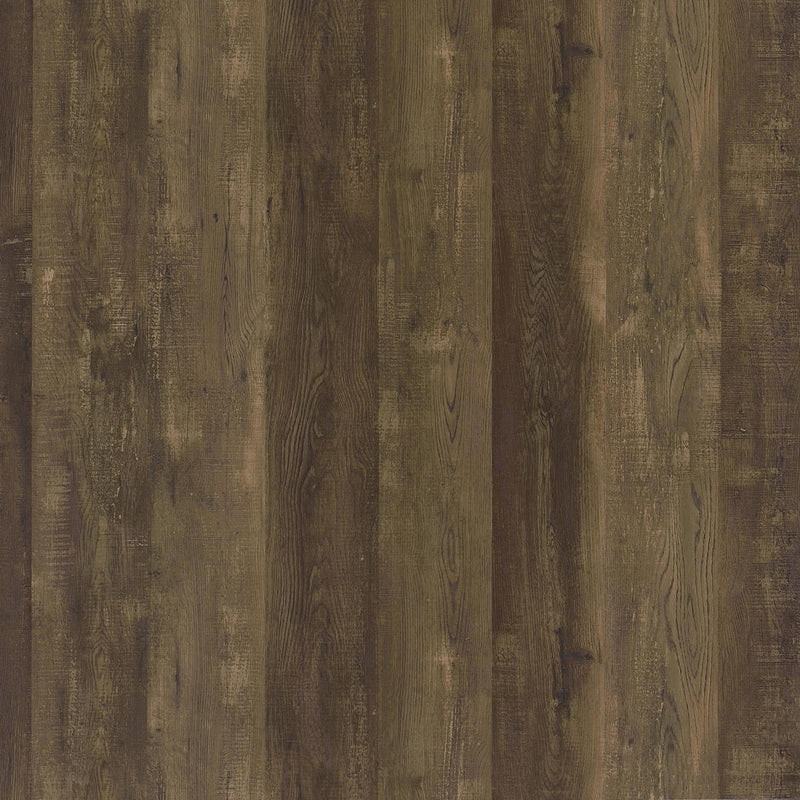  Coaster Furniture Carolyn 959639 2-door Engineered Wood Accent Cabinet - Rustic Oak IMAGE 8