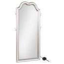  Coaster Furniture Evangeline 223400 Full Length LED Light Floor Mirror - Silver Oak IMAGE 1