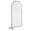  Coaster Furniture Evangeline 223400 Full Length LED Light Floor Mirror - Silver Oak IMAGE 6