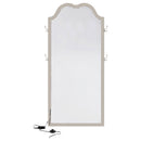  Coaster Furniture Evangeline 223400 Full Length LED Light Floor Mirror - Silver Oak IMAGE 7