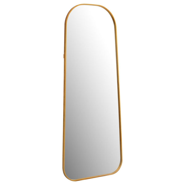  Coaster Furniture Simeon 962822 20 x 52 Inch Full Length Floor Mirror - Antique Gold IMAGE 1