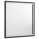  Coaster Furniture Lucia 224994 Dresser Mirror - Black IMAGE 1