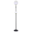  Coaster Furniture Dacki 920243 69-inch Dual Spherical Bulb Metal Floor Lamp - Black IMAGE 3