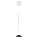  Coaster Furniture Dacki 920243 69-inch Dual Spherical Bulb Metal Floor Lamp - Black IMAGE 5
