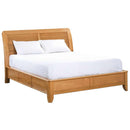Whittier Wood Pacific Queen Bed with Storage 1448AFGSP IMAGE 1