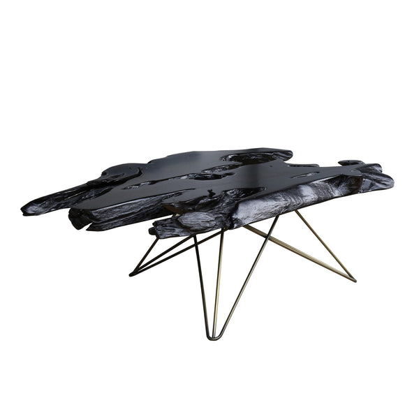 Moe's Home Collection Tectona Coffee Table EI-1042-20 IMAGE 1