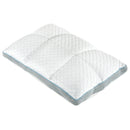 Primo International Pillows Bed Pillows SofiSleep Deluxe Pillow (Queen) IMAGE 1
